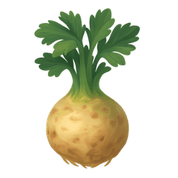 Celeriac
