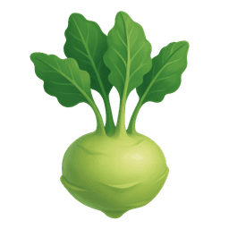 Kohlrabi