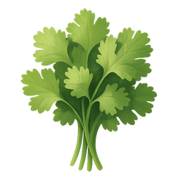 Coriander