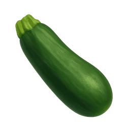 Zucchini