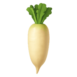 Daikon