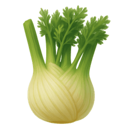 Fennel