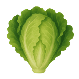 Lettuce