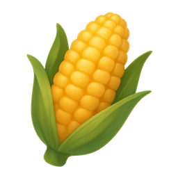Corn