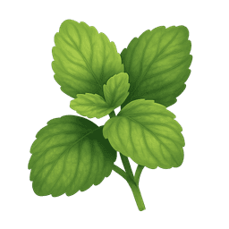 Lemon balm