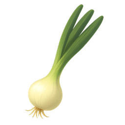 Spring onion