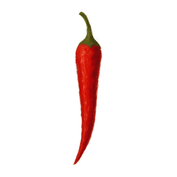 Chili pepper