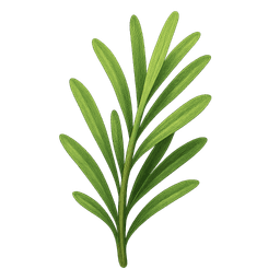 Rosemary