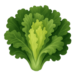 Escarole